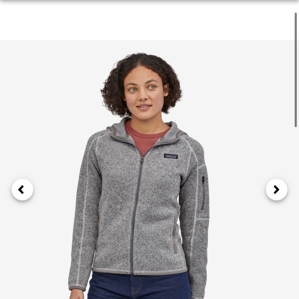 Patagonia Better Sweater Hoody jacket